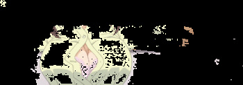 Getsuyoubi no Tawawa 2 Gifs cover