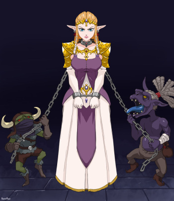 Zelda RSR cover