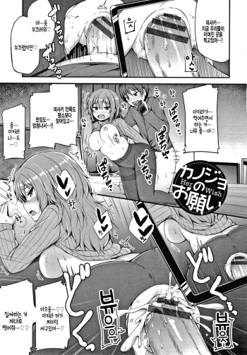 Kanojo no onegai cover