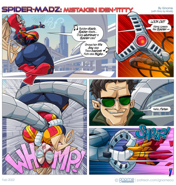 Spider-Madz: Mistaken Identitty cover
