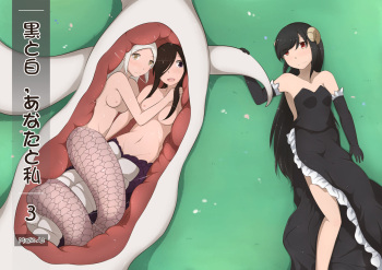 黑と白，あなたと私 3 cover