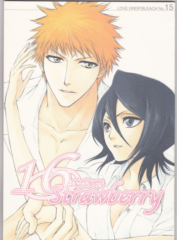 16Strawberry cover