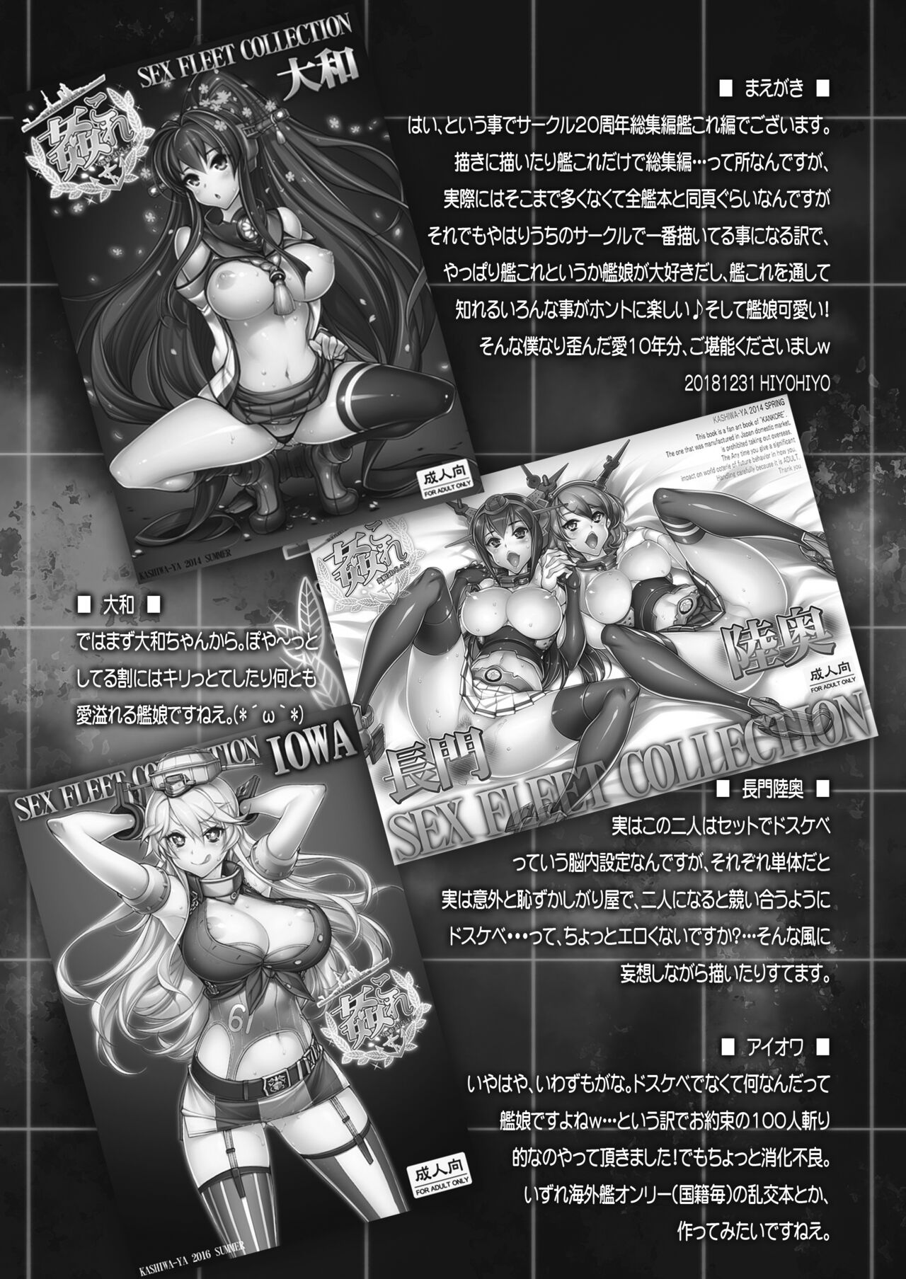 KanColle -SEX FLEET COLLECTION- Ships other than all ship books compilation page 3 full