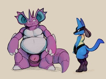 Lucario and Nidoking cover
