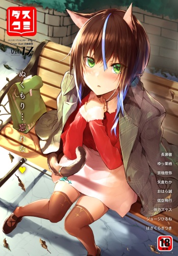 Dascomi Vol.17 cover