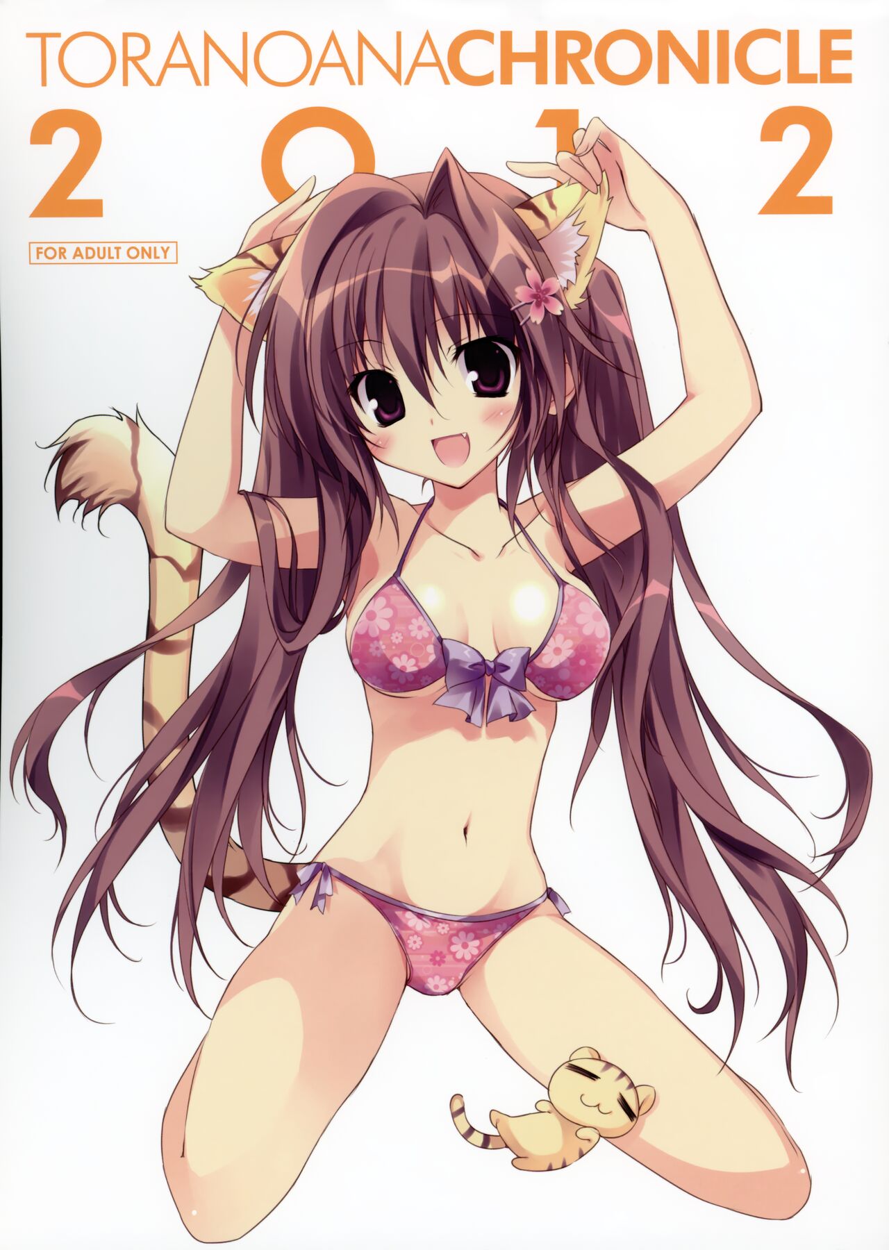 Toranoana Chronicle 2012 page 2 full