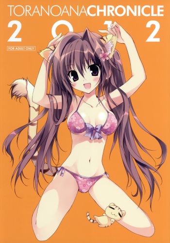 Toranoana Chronicle 2012 cover