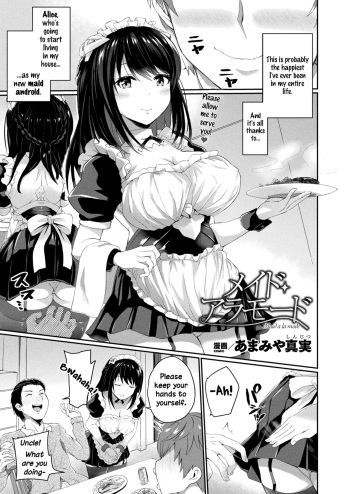 Maid a la mode cover
