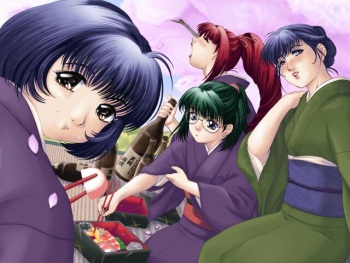Ryokan Shirasagi cover