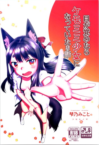Me Ga Sametara kemomimishoujo ni natteita ohanashi cover