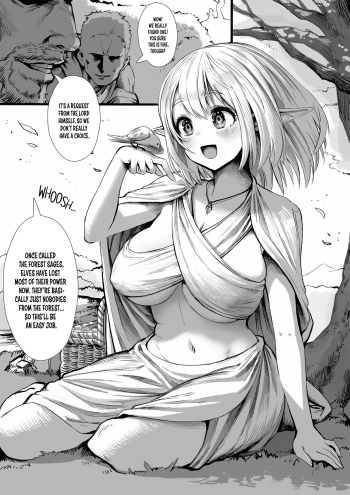 Elf's Past cover