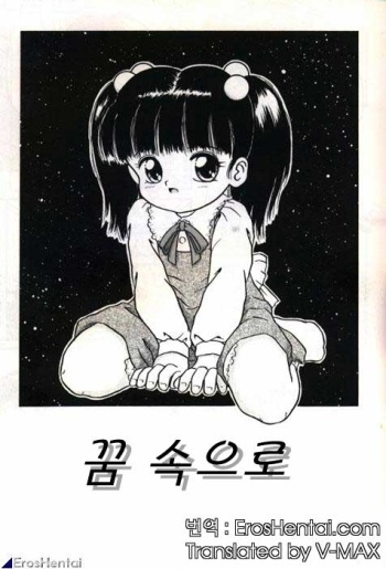 In the Dream cover