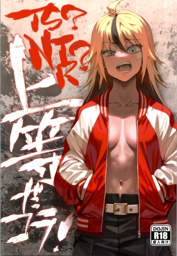 TS? NTR? It ’s fine! cover