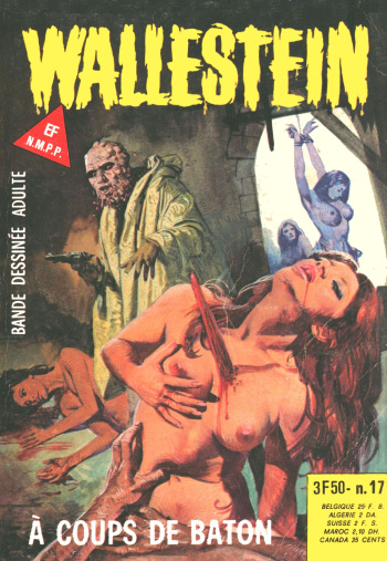 Wallestein 017 - A coups de baton cover