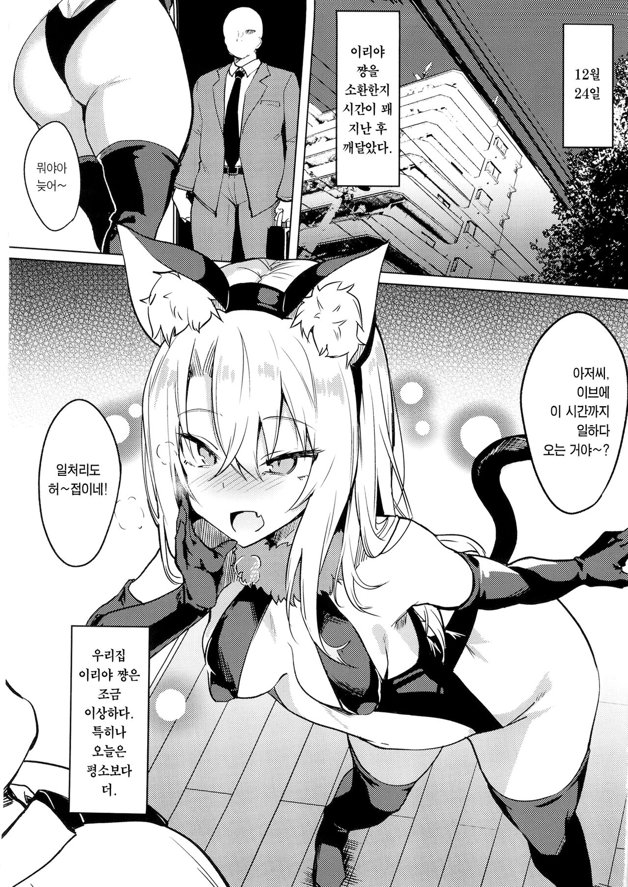 Mesugaki Bitch na Illya-chan to Asobo | 메스가키 빗치 이리야 쨩이랑 놀자 page 4 full