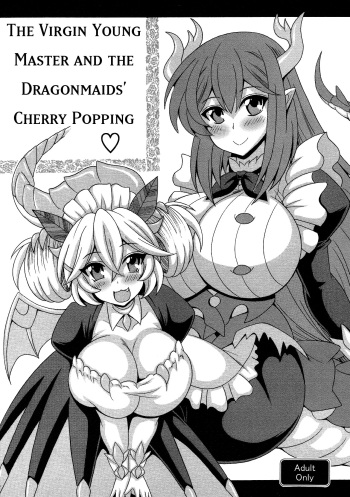 Dotei botchan to doragon meido no fudeoroshi cover