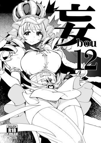 bou 12 cover