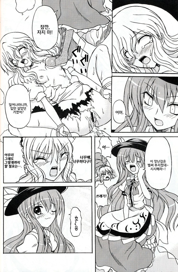 Touhou Youjo Ranbu 9 | 동방 요녀 난무 9 page 9 full