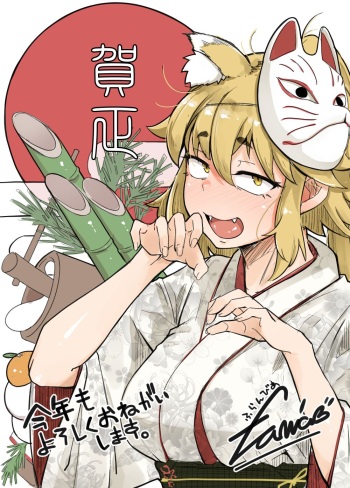 flanvia cover