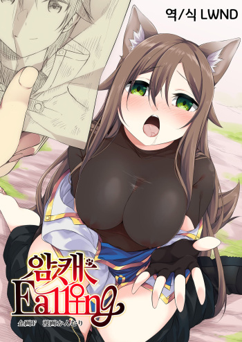 Mesu Inu Falling | 암캐 Falling cover