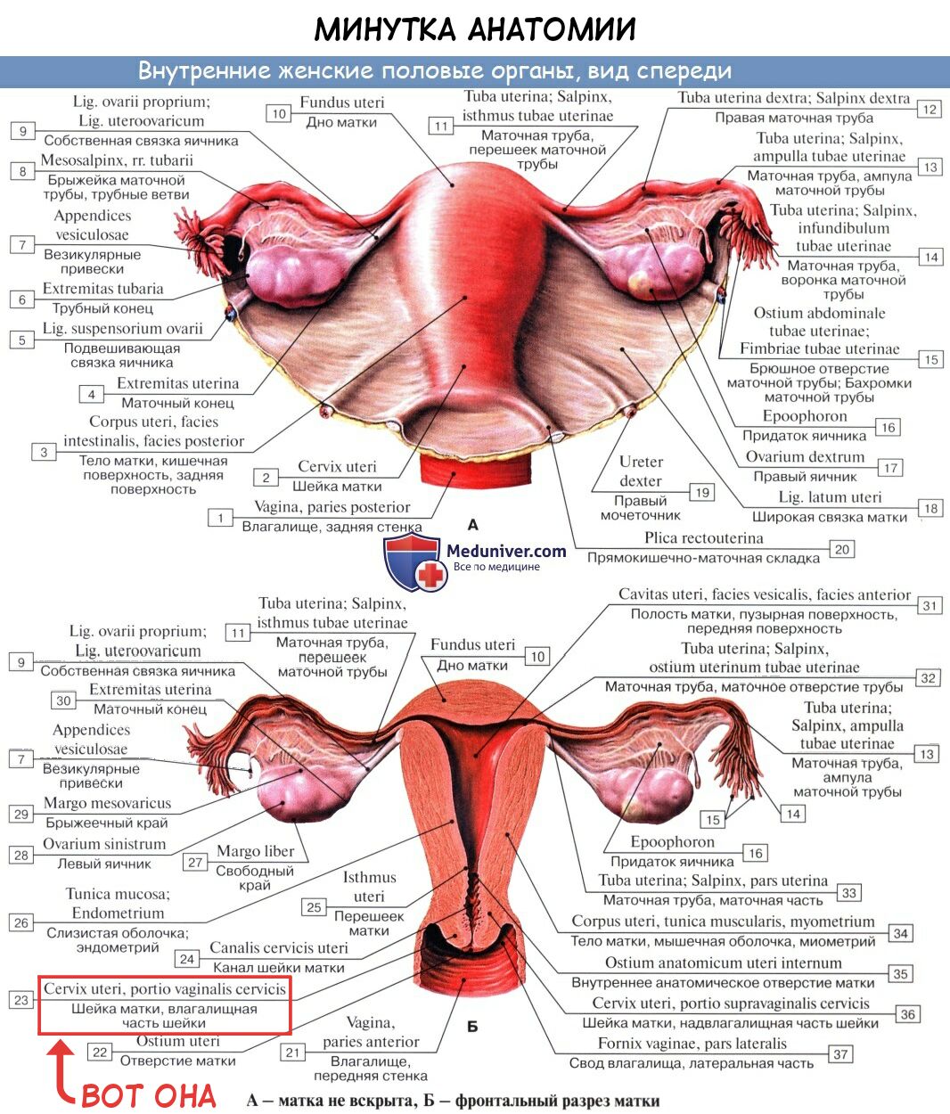 Kimochii Manman no Tsukurikata | Культивация удовольствия page 5 full