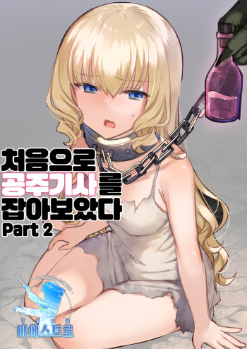 Princess knight captured by goblins part2 | 처음으로 공주기사를 잡아보았다 part 2 cover