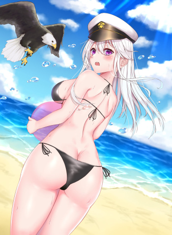 Enterprise cover